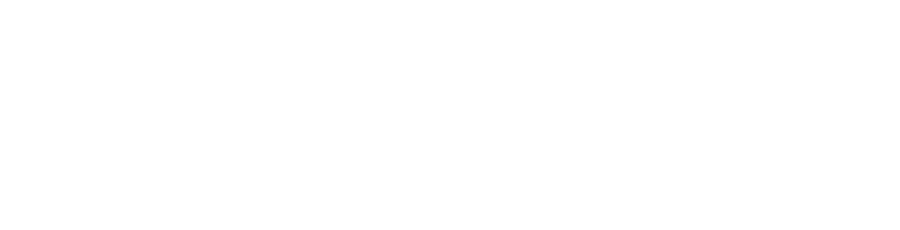 TEMU